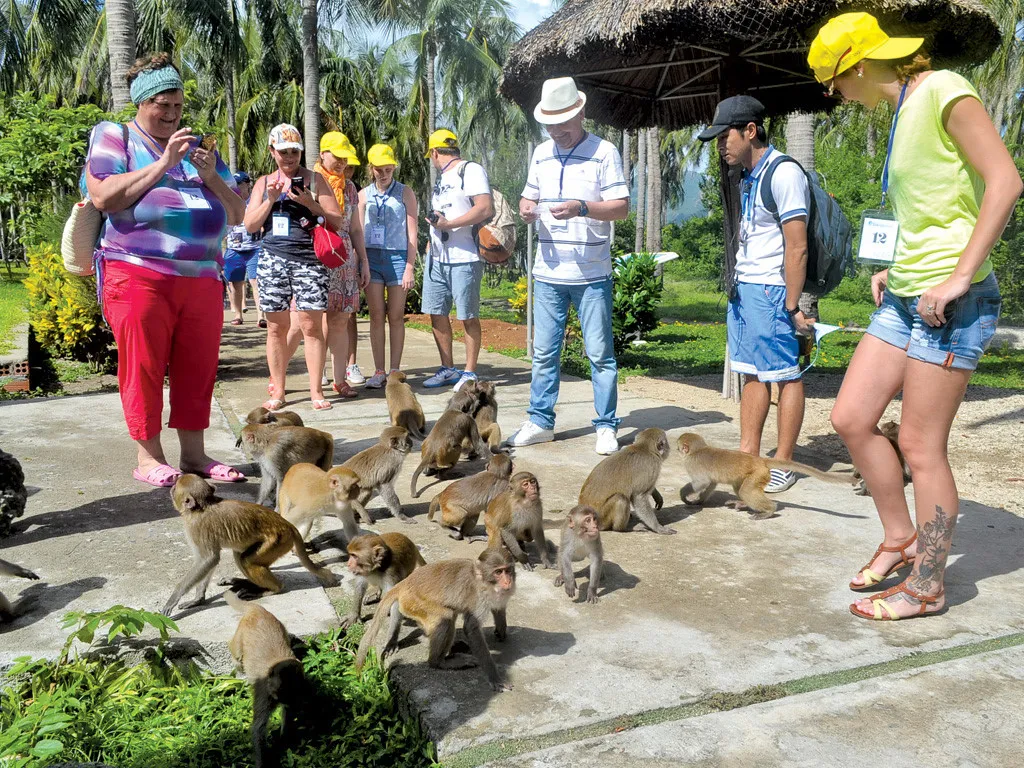 Vé Đảo Khỉ Nha Trang 2