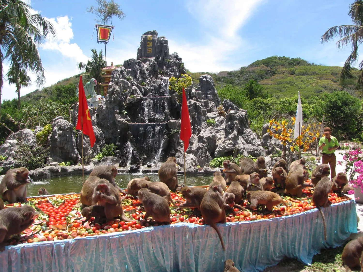 Vé Đảo Khỉ Nha Trang 1