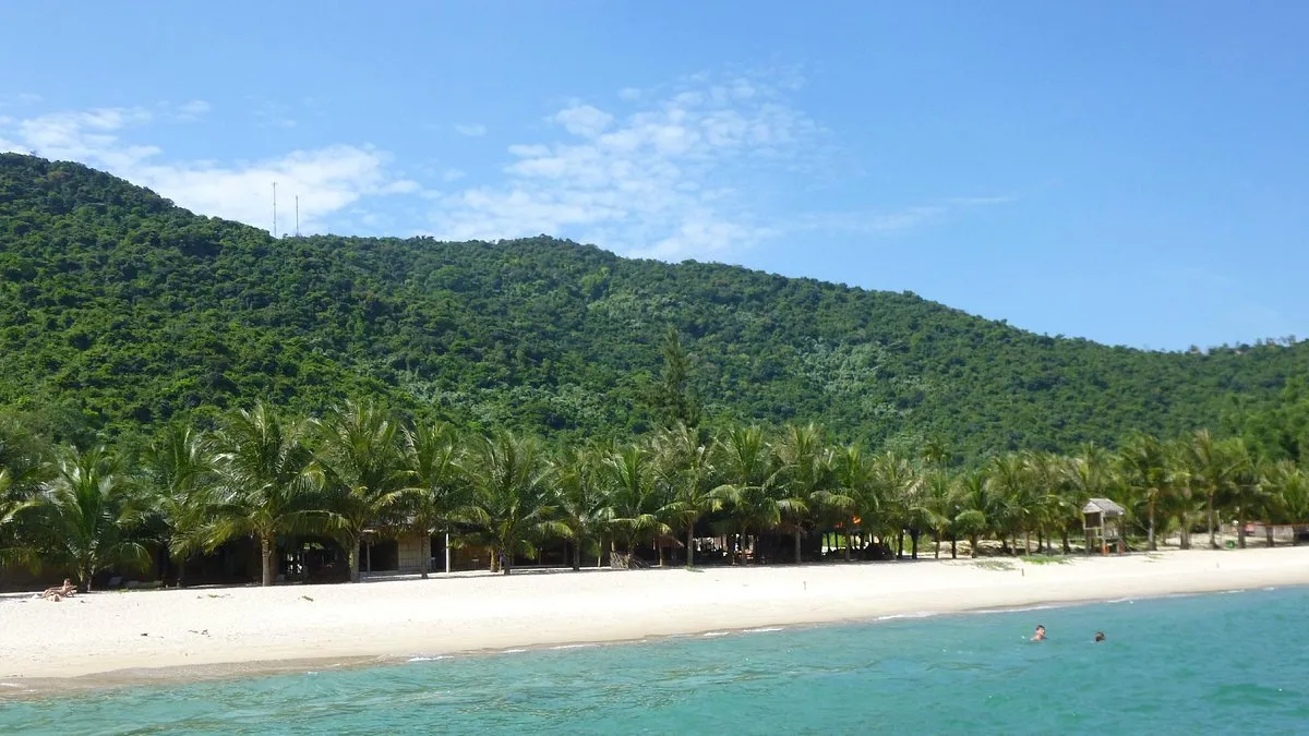 Tour Cù Lao Chàm: Lặn Ngắm San Hô & Khám Phá Đảo Xanh 1