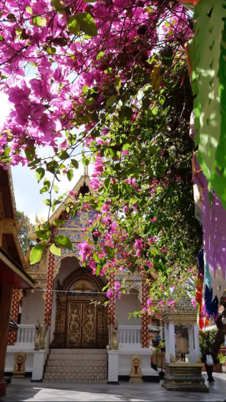 Chùa Núi Vàng Wat Saket Bangkok - ảnh 3