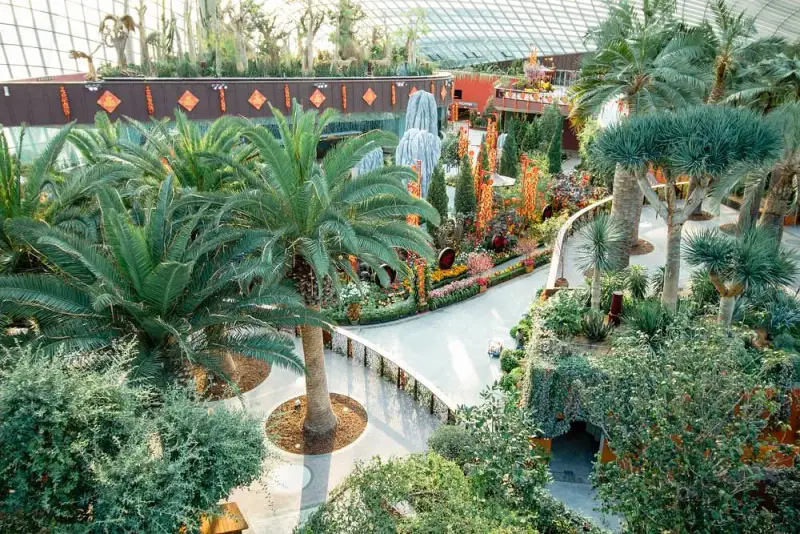 Flower Dome - ảnh 8