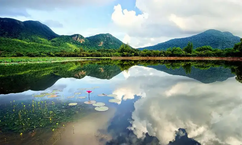 Hồ An Hải - ảnh 4