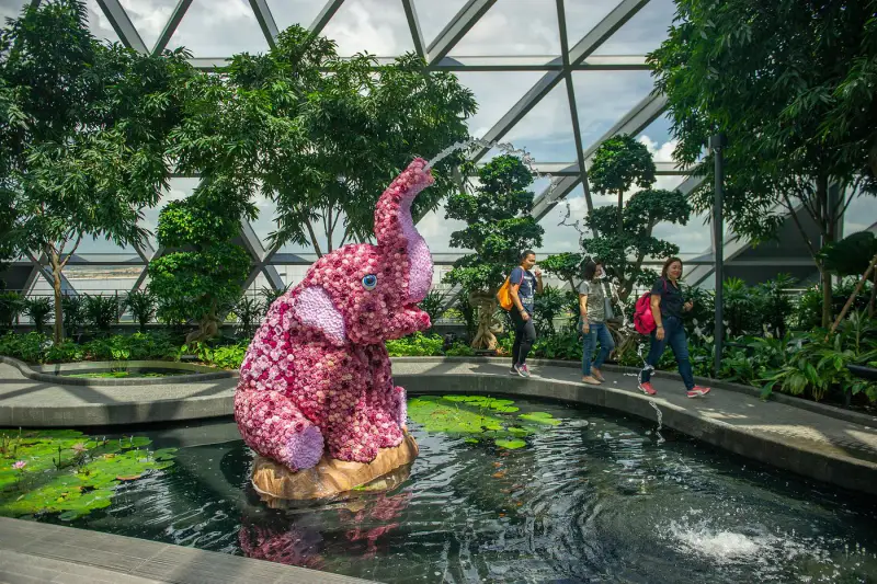 Jewel Changi Airport - ảnh 4