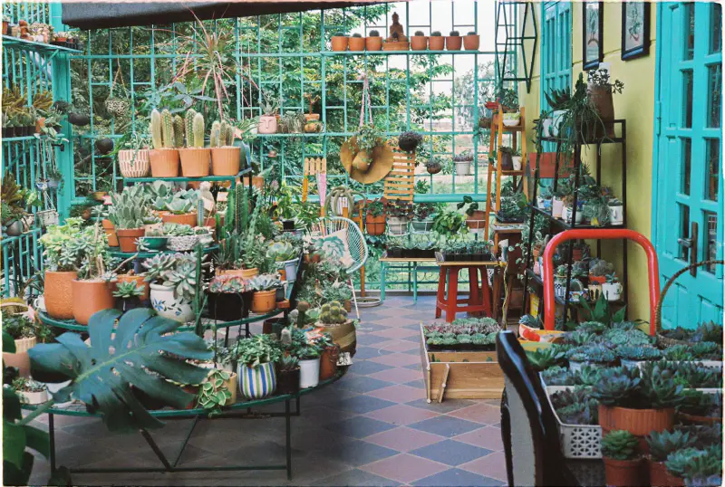 Ants Cafe (Tiệm cà phê Kiến) - ảnh 3