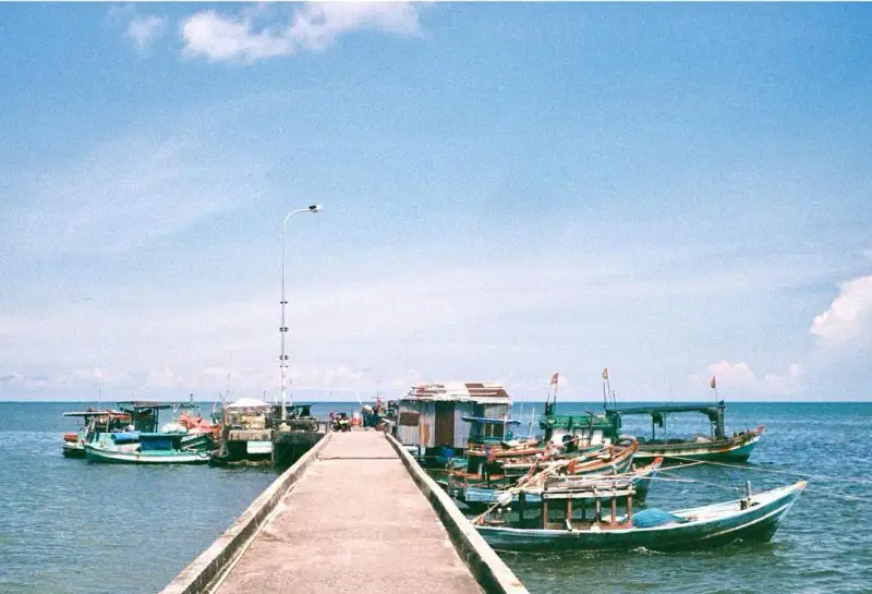 Làng chài Hàm Ninh - ảnh 2