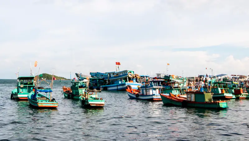 Làng chài Hàm Ninh - ảnh 7
