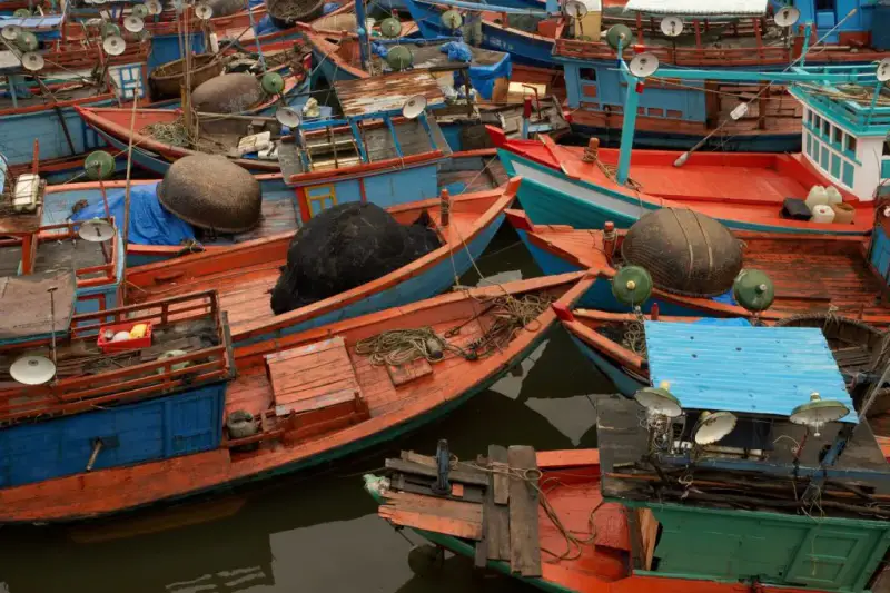 Làng chài Hàm Ninh - ảnh 6