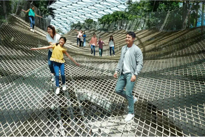 Jewel Changi Airport - ảnh 5
