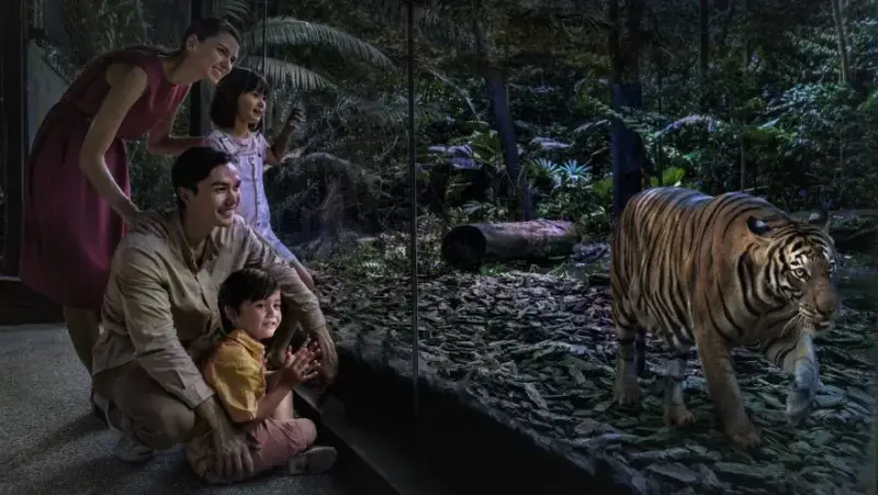 Vườn thú Night Safari - Singapore - ảnh 4