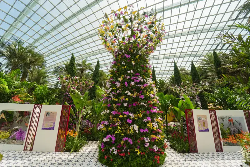 Flower Dome - ảnh 5