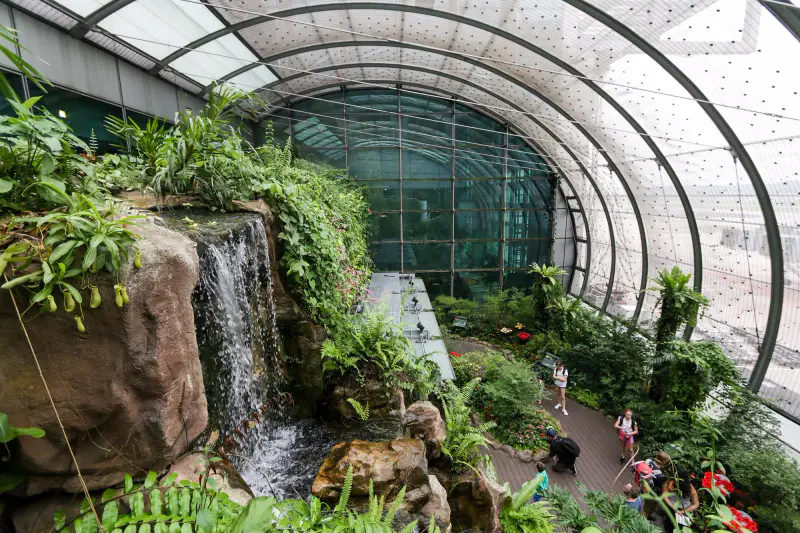 Butterfly Garden - ảnh 6