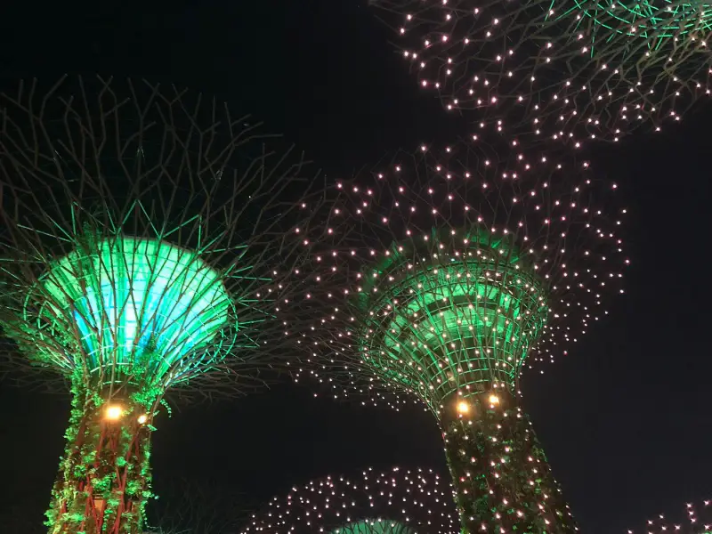 Supertree Grove - ảnh 4