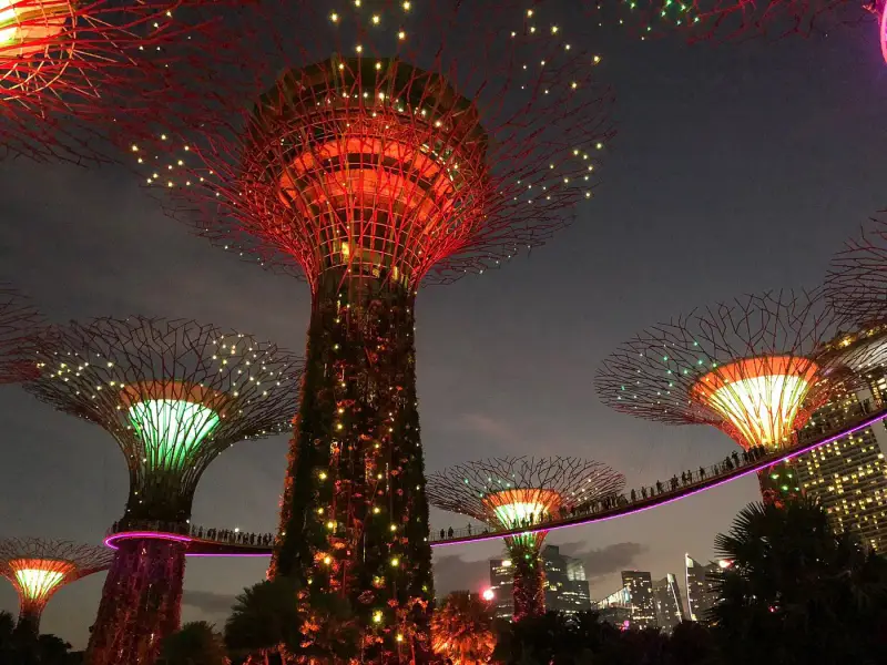 Supertree Grove - ảnh 5