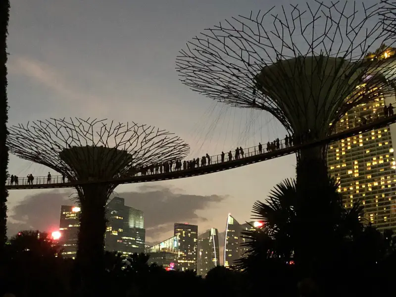 Supertree Grove - ảnh 6