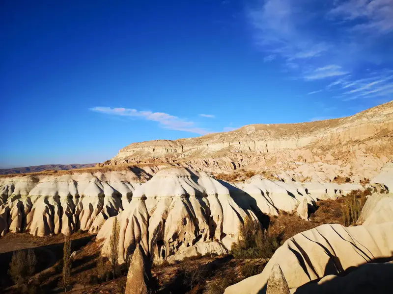 Rose Valley - ảnh 5