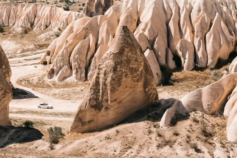 Rose Valley - ảnh 7