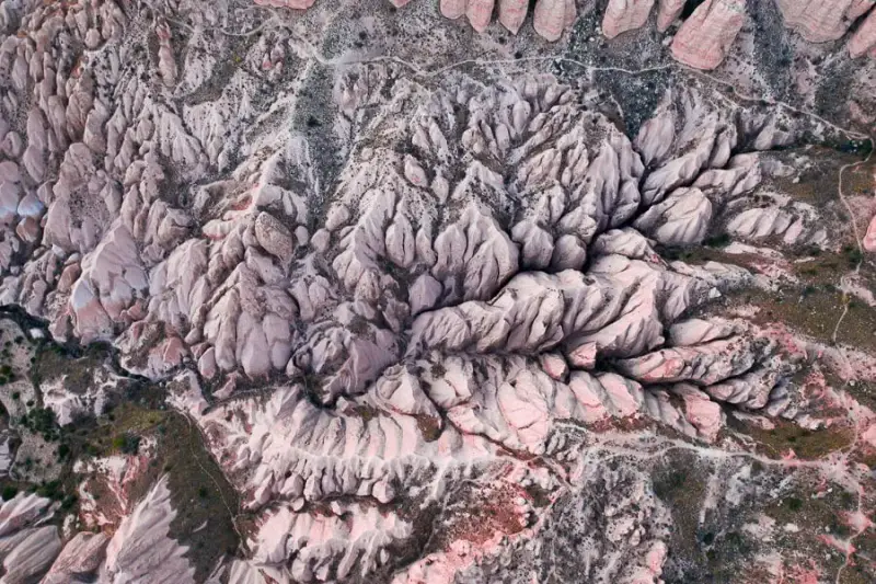 Rose Valley - ảnh 3