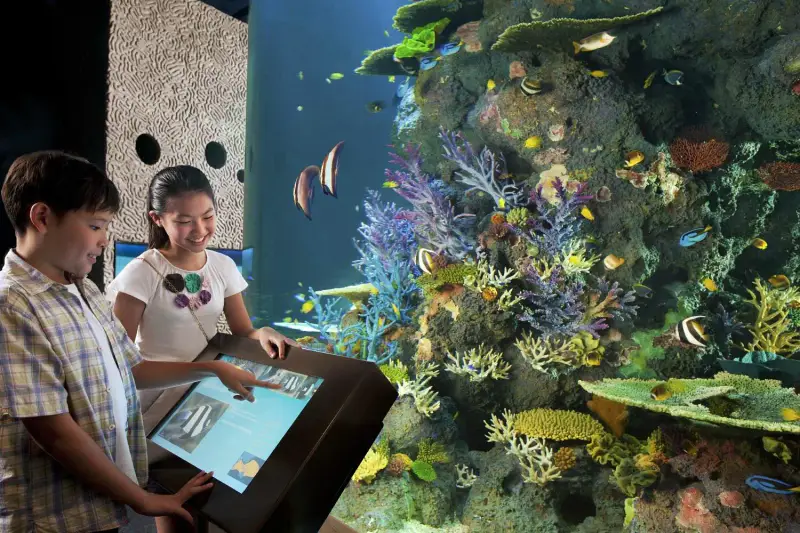 Thuỷ cung Singapore Oceanarium - ảnh 9