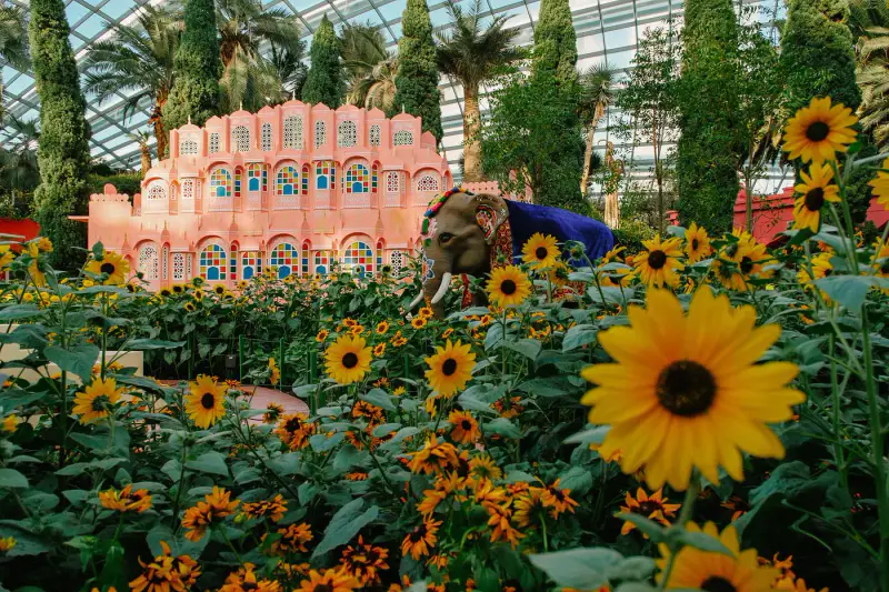 Flower Dome - ảnh 6