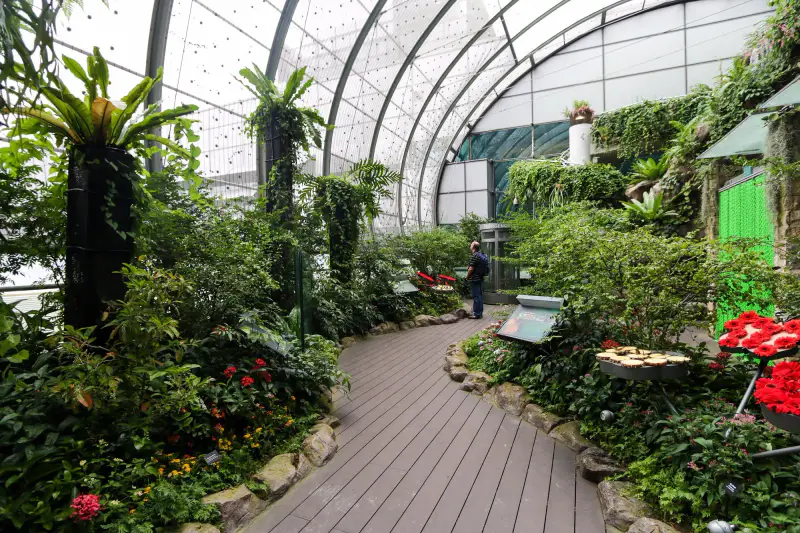 Butterfly Garden - ảnh 4