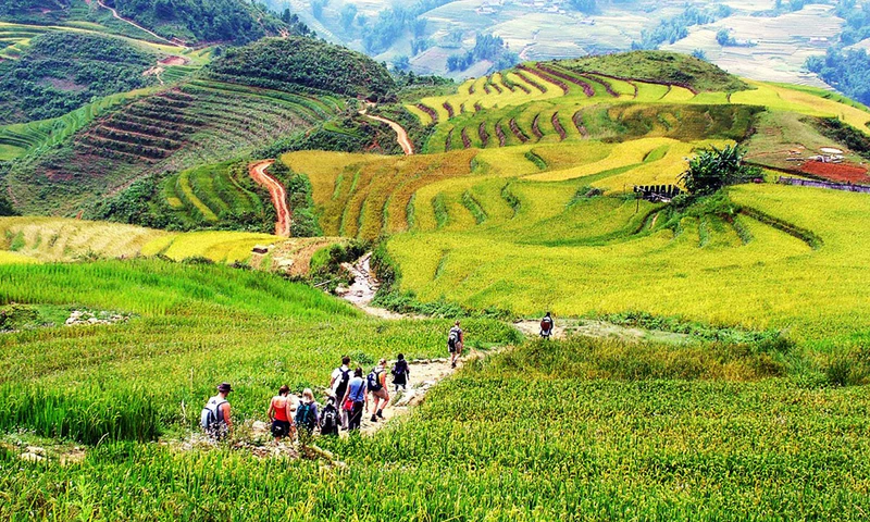 Thung lũng Mường Hoa - ảnh 6