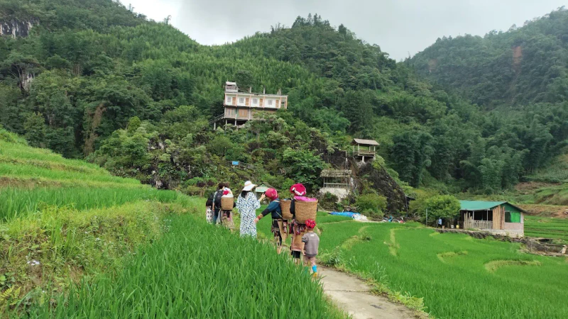 Bản Tả Phìn - SaPa - ảnh 7