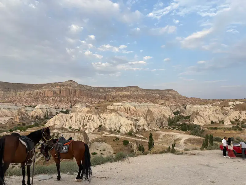 Moonlight Horse Ranch - ảnh 2