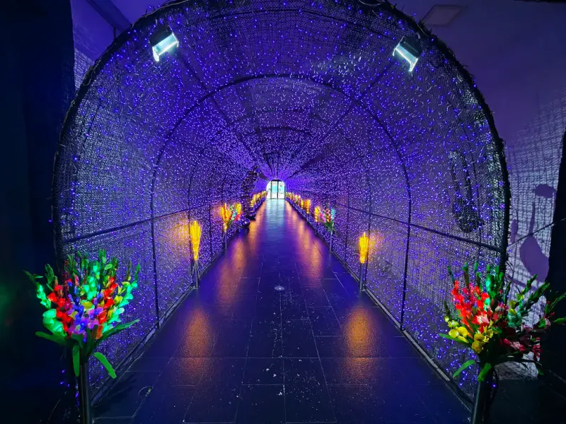 Lighting Art Museum & Balloon Garden in Thailand - ảnh 3