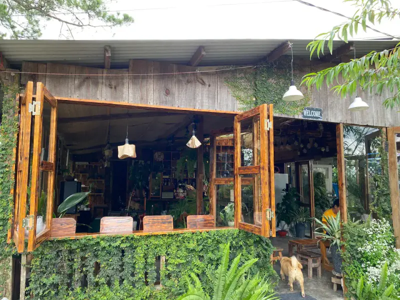 Lang Thang Cafe & Beer - ảnh 2