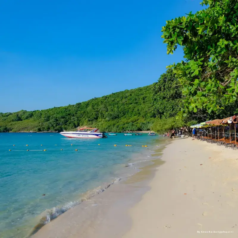 Đảo Koh Larn (Coral Island – Koh Larn) - ảnh 2