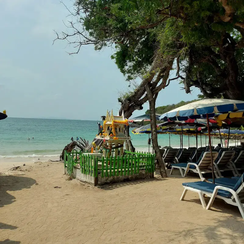 Đảo Koh Larn (Coral Island – Koh Larn) - ảnh 6