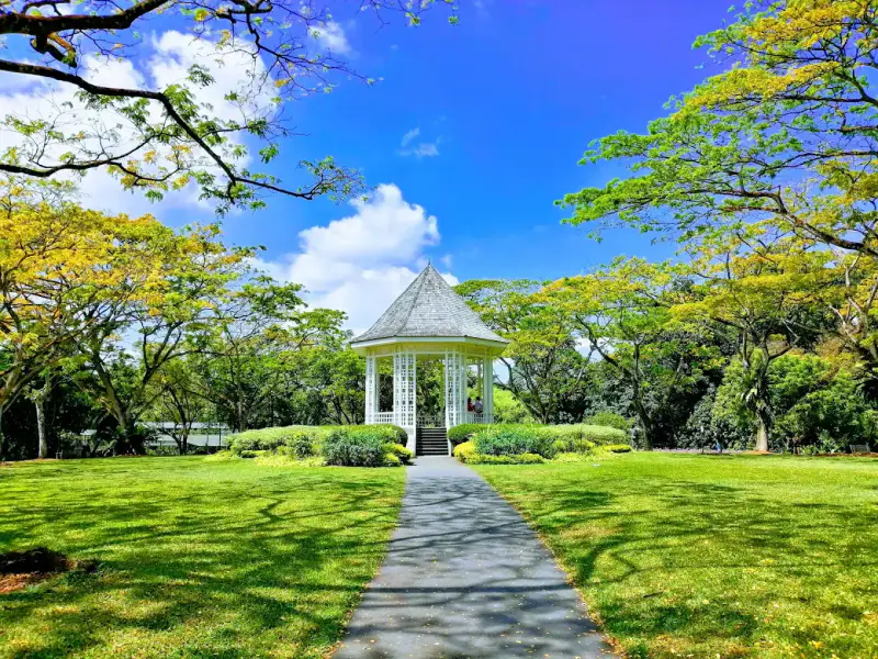 Vườn bách thảo Singapore - ảnh 6