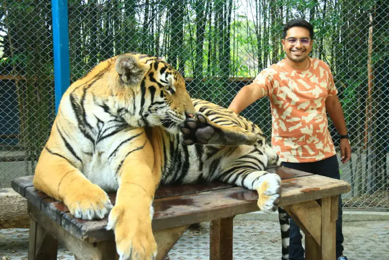 Công viên Tiger Park Pattaya - ảnh 7