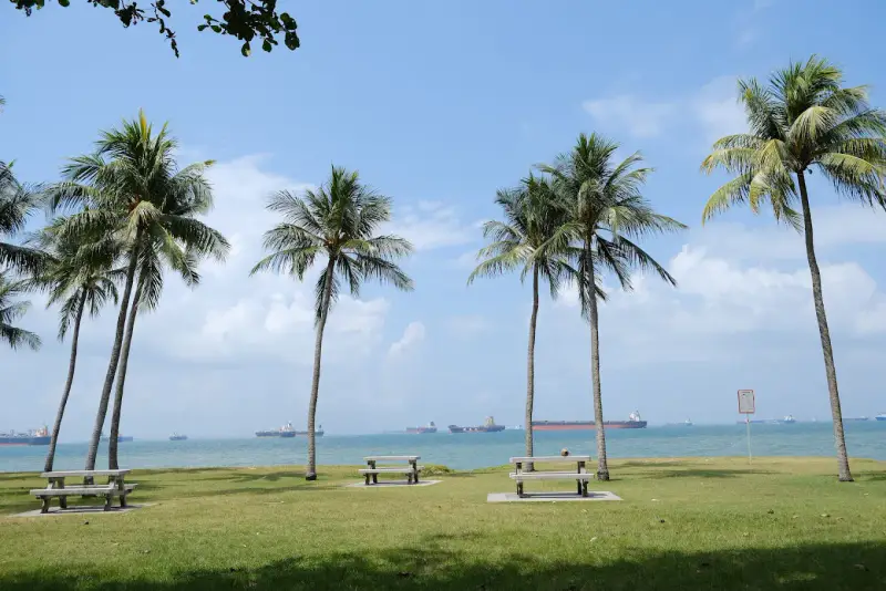 Công viên East Coast Park - ảnh 6
