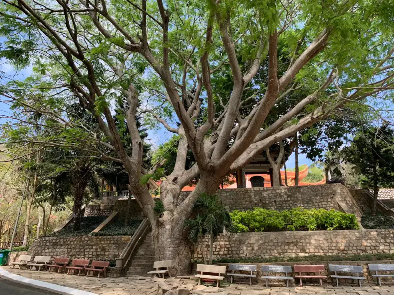 Khu di tích lịch sử Minh Đạm - ảnh 5