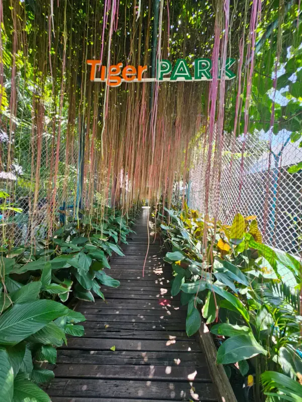 Công viên Tiger Park Pattaya - ảnh 6