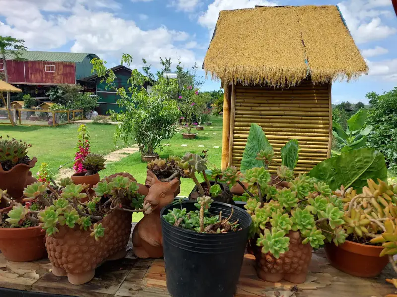 Làng Thỏ Little Hobbiton - ảnh 4