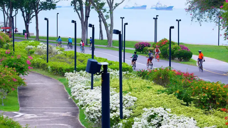 Công viên East Coast Park - ảnh 2