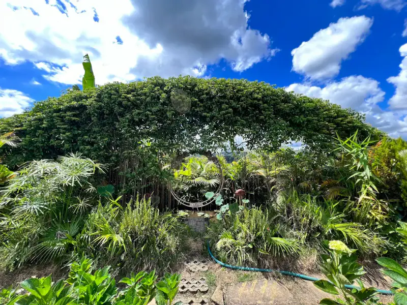 Làng Thỏ Little Hobbiton - ảnh 3