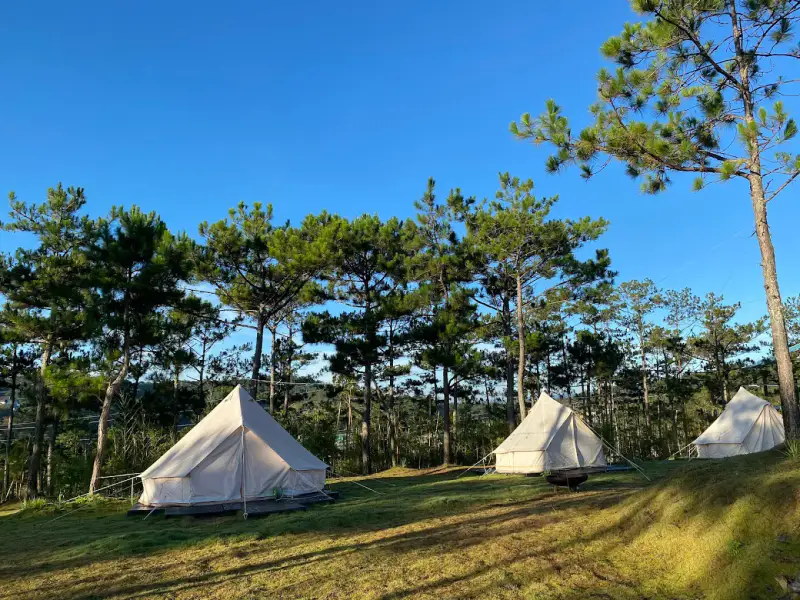 Biofresh Farm Đà Lạt - ảnh 4