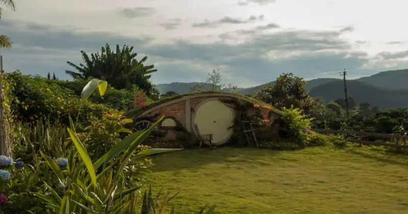 Làng Thỏ Little Hobbiton - ảnh 2