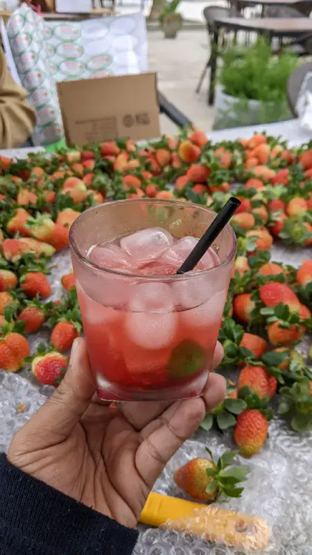 Biofresh Farm Đà Lạt - ảnh 2