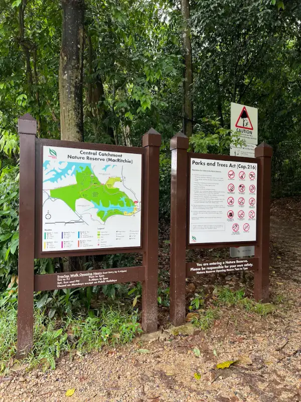 MacRitchie Nature Trail - ảnh 4