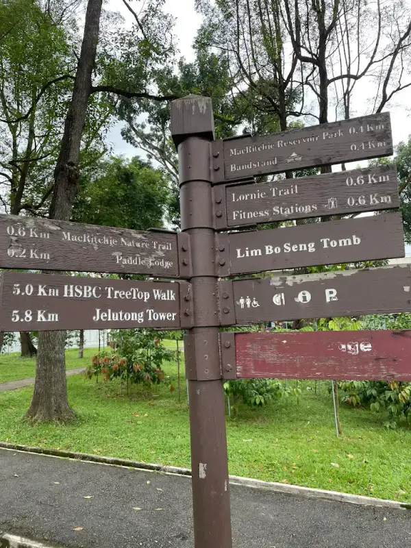 MacRitchie Nature Trail - ảnh 3