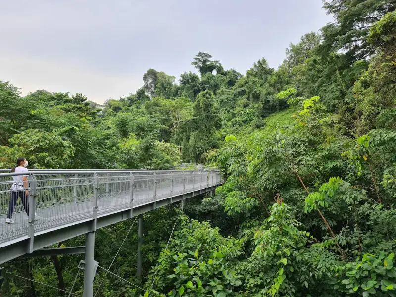 Southern Ridges - ảnh 6