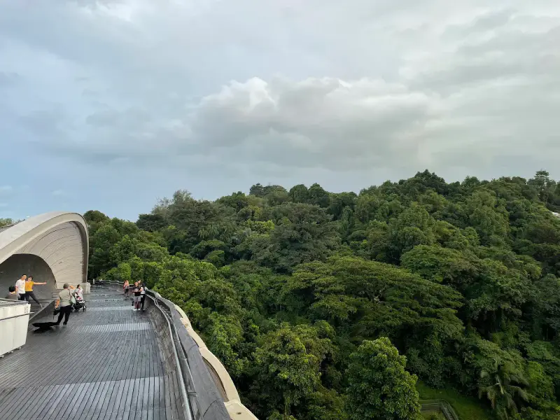Southern Ridges - ảnh 5