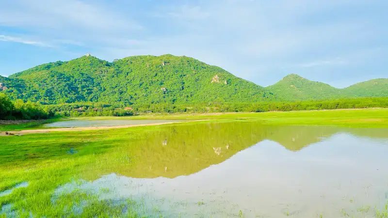 Hồ Sở Bông Phước Hải - ảnh 5