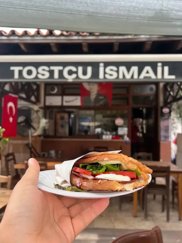 Tostcu ismail - ảnh 3