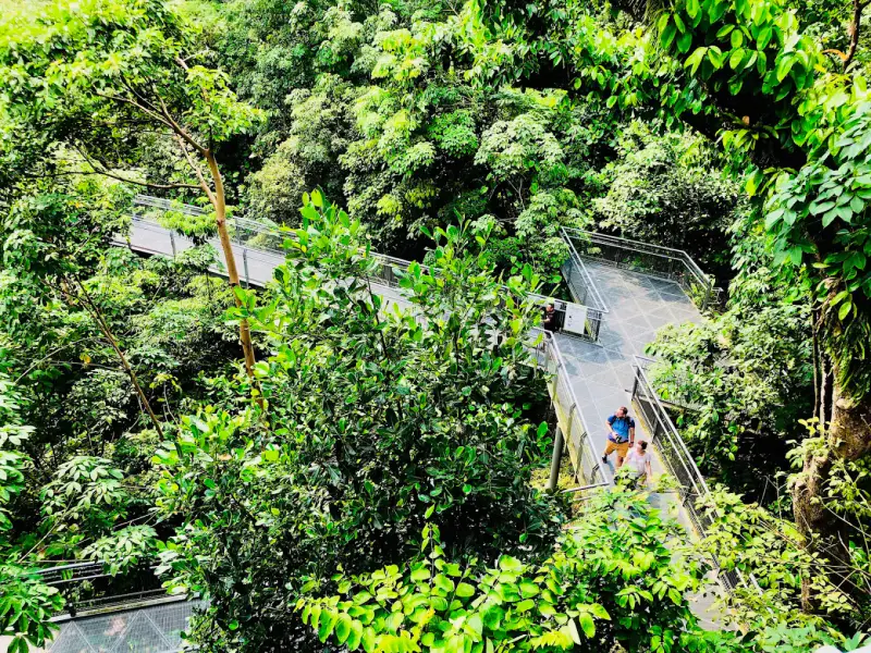 Southern Ridges - ảnh 2