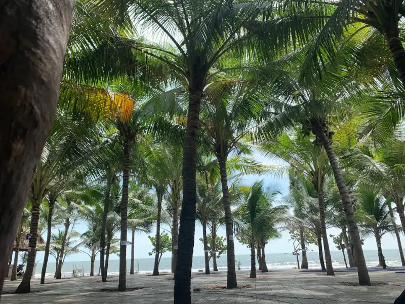 Bãi biển Long Cung - ảnh 5